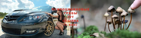 круглые Белокуриха