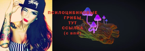 молекула духа Белоозёрский