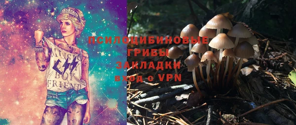 круглые Белокуриха