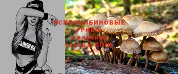 круглые Белокуриха