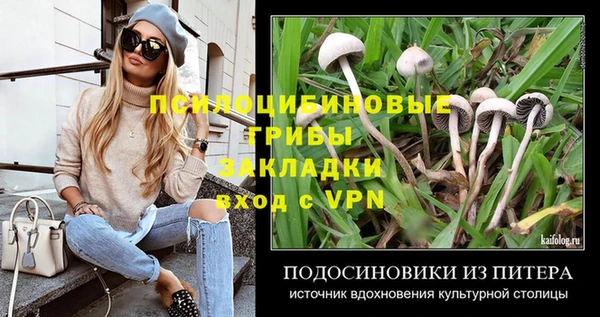 круглые Белокуриха